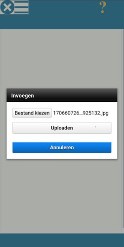 IBP13