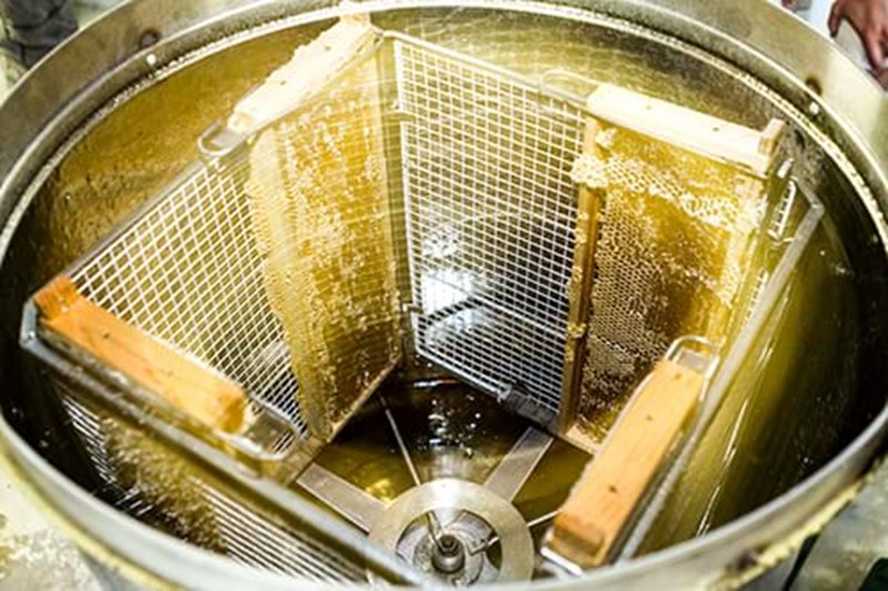 Honey Centrifuge